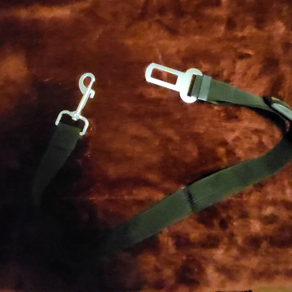 ATTENTION PET LOVERS! DOGGIE SEATBELT